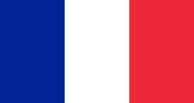 An image of the flag of france