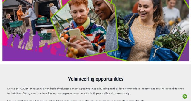 Image shows a screenshot from the Council's volunteering homepage.