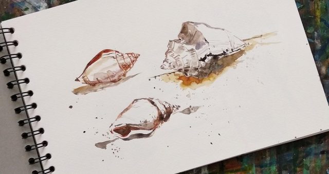 Sea Shells 3569729_1280 Aspect Ratio 640 340