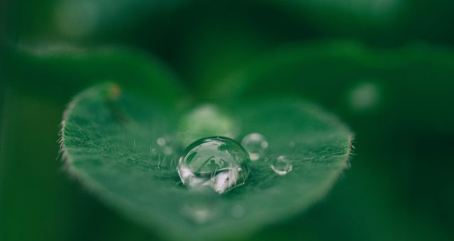 Aaron Burden DXYE1d08BiY Unsplash Scaled Aspect Ratio 640 340